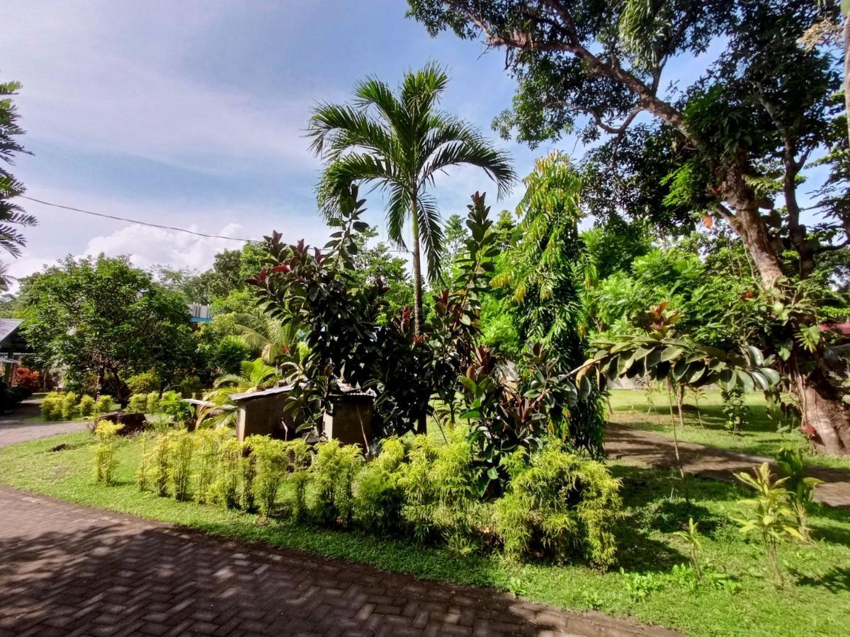 Tangkoko Lodge Bitung Exterior foto